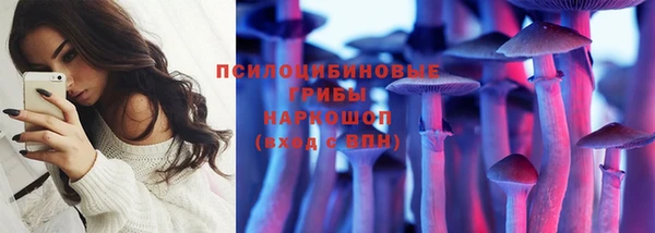 мдпв Анива