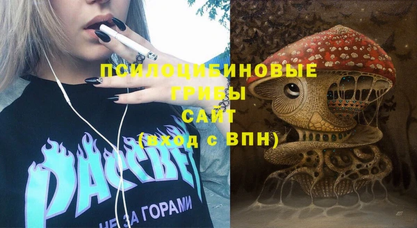 мдпв Анива