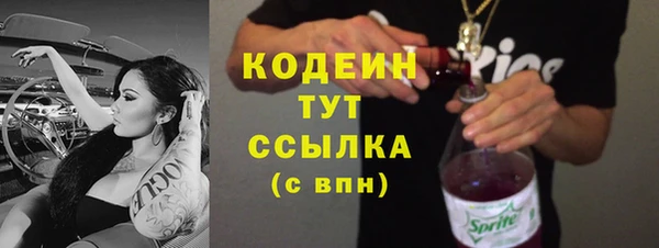 мдпв Анива
