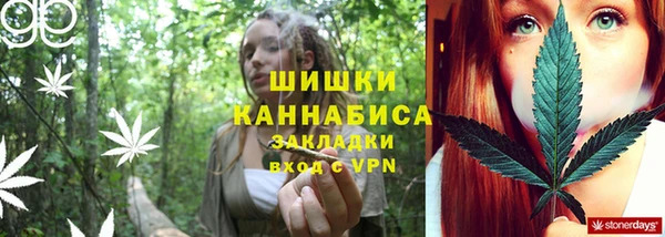 мдпв Анива